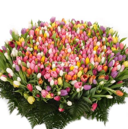 http://www.sendflowers.ua/bouquet/5449_b.jpg